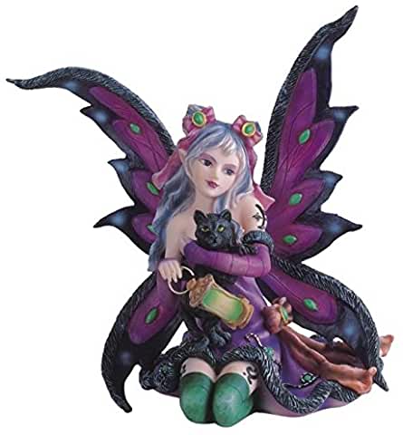 Purple Fairy With Black Cat